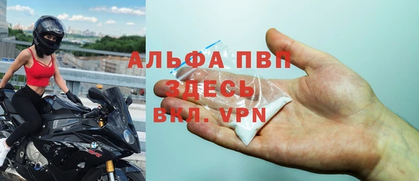 спиды Пестово