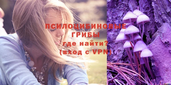 спиды Пестово
