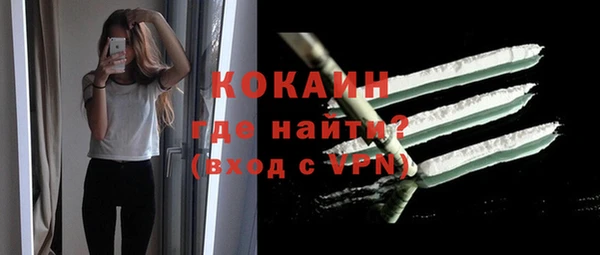 мдпв Пересвет