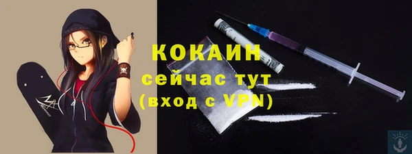 мдпв Пересвет