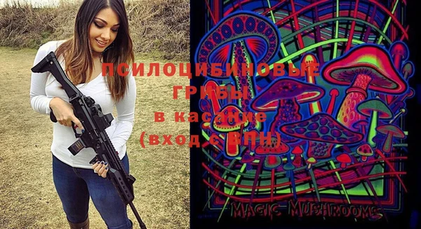 мдпв Пересвет