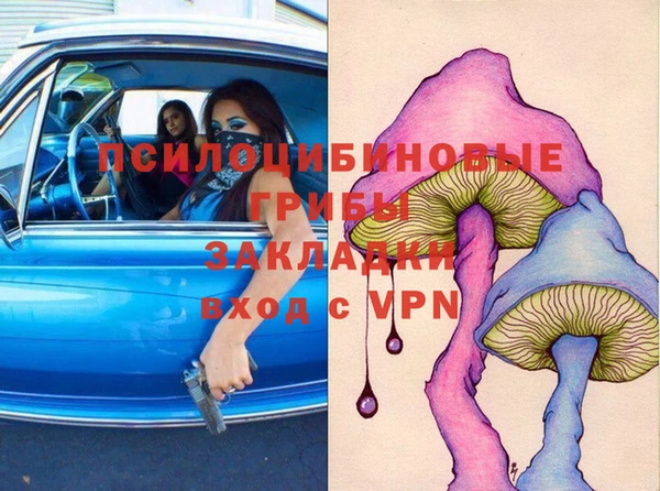 спиды Пестово