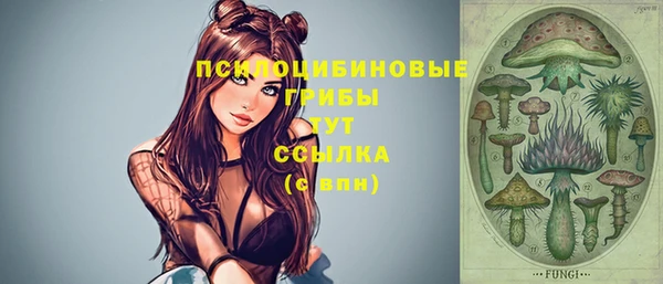 мдпв Пересвет