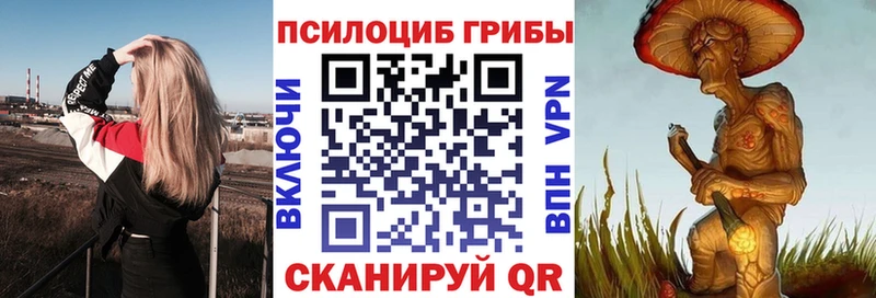 Галлюциногенные грибы Psilocybine cubensis  хочу наркоту  omg маркетплейс  Тула 