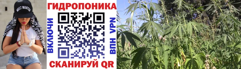 гидра ТОР  Тула  МАРИХУАНА планчик 